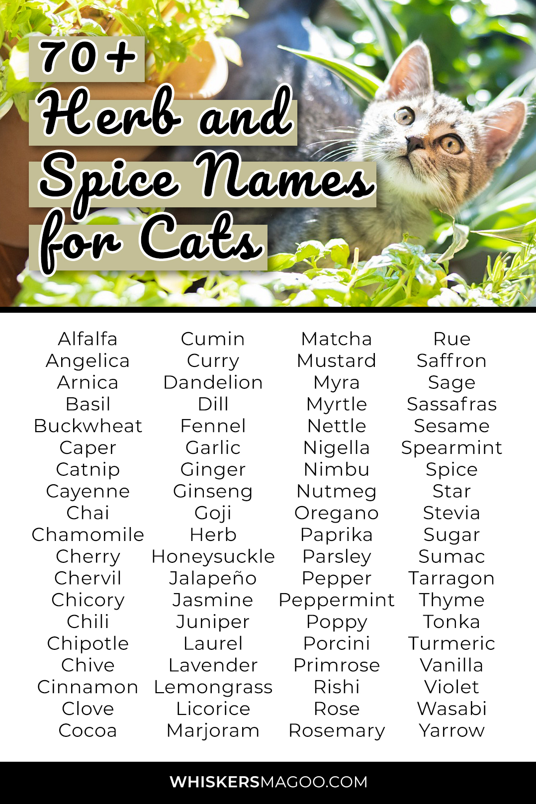 Herb And Spice Names For Cats Whiskers Magoo