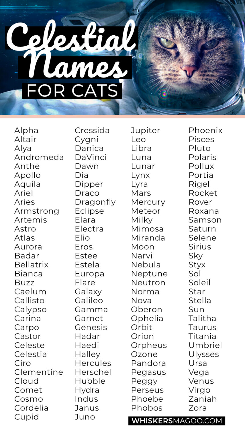 131 Celestial Space-Themed Names for Cats (with Meanings!) - Whiskers Magoo