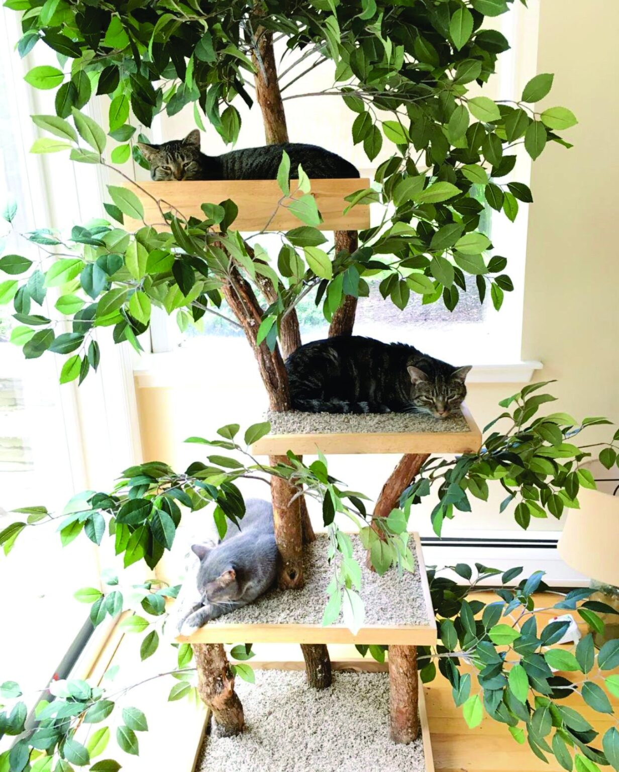 15 Cute Indoor Cat Towers That Look Like Real Trees (and Where To Buy 