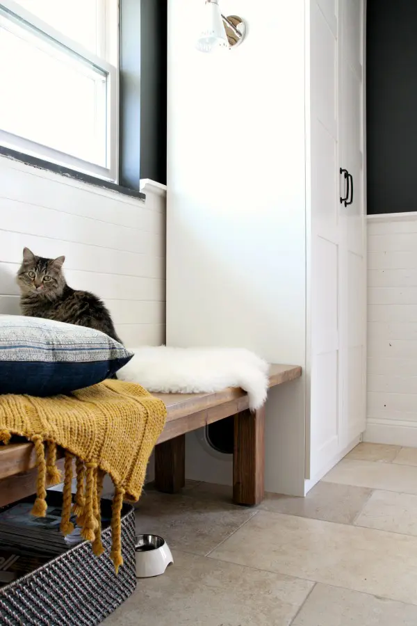 IKEA PAX Hack for Cats - Image and Ikea Hack by Dana Miller via House Tweaking