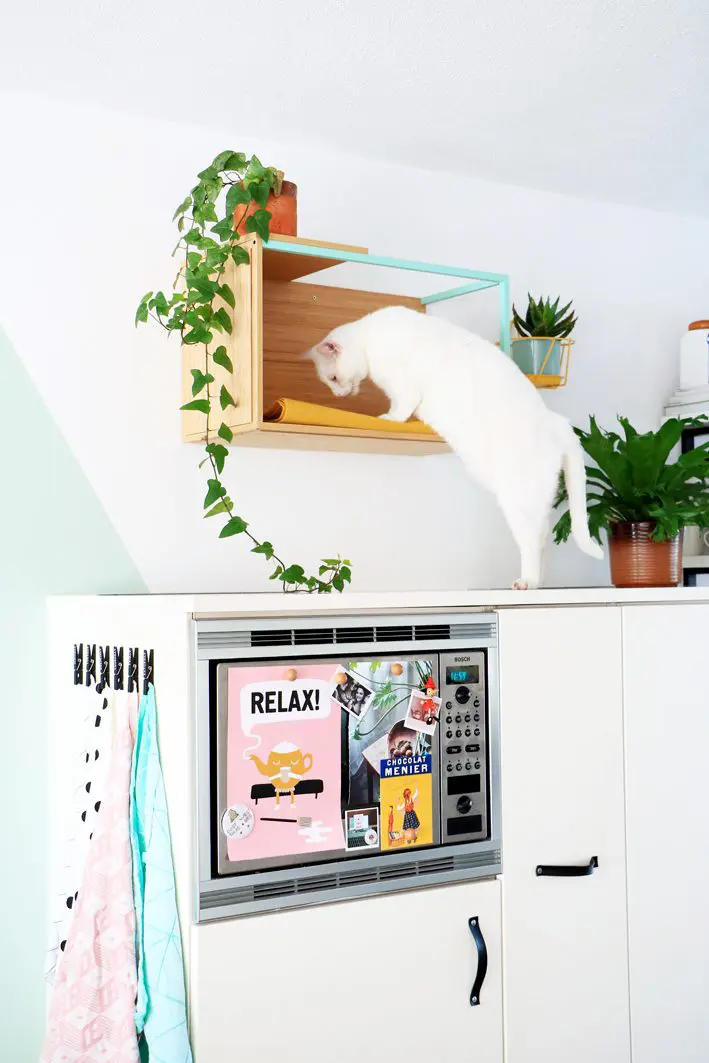 IKEA Wall Cabinet Hack for Cats - Image and Ikea Hack via Marij Hessel @ Enter My Attic