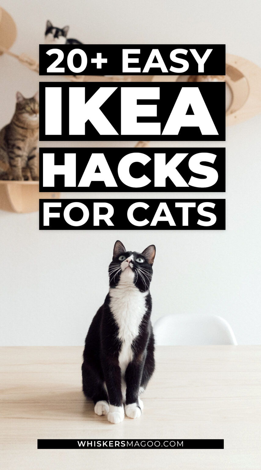 20+ Easy IKEA Hacks for Cats (and Cat Parents!) Whiskers Magoo