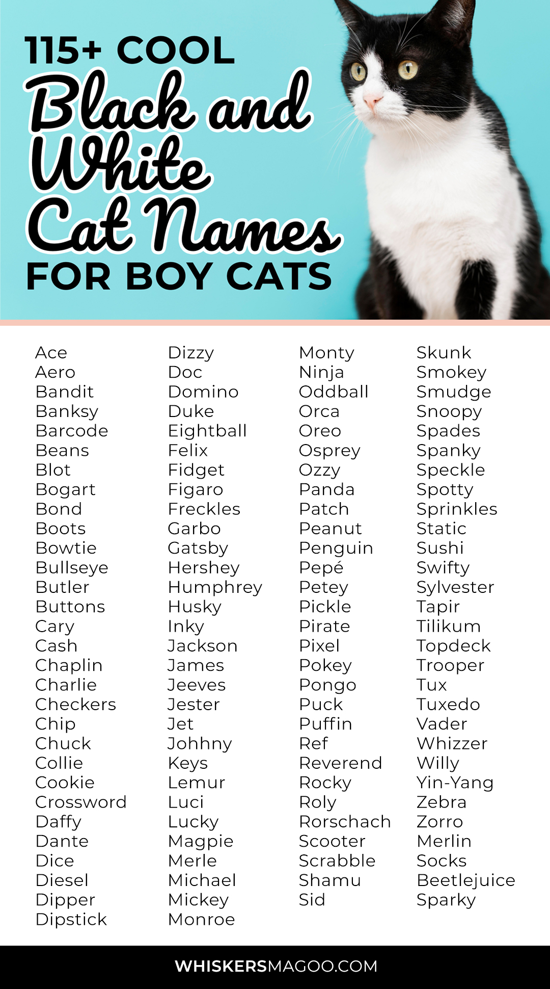 black-and-white-cat-names-boy