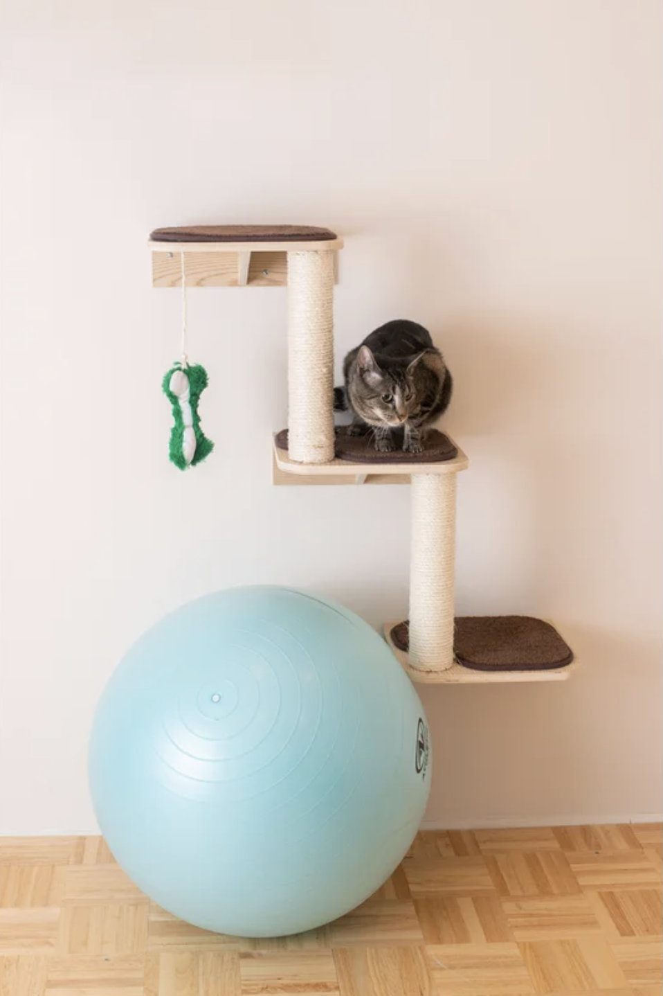 Armarkat 41" Real Wood Wall Cat Tree. Image via Armarkat.