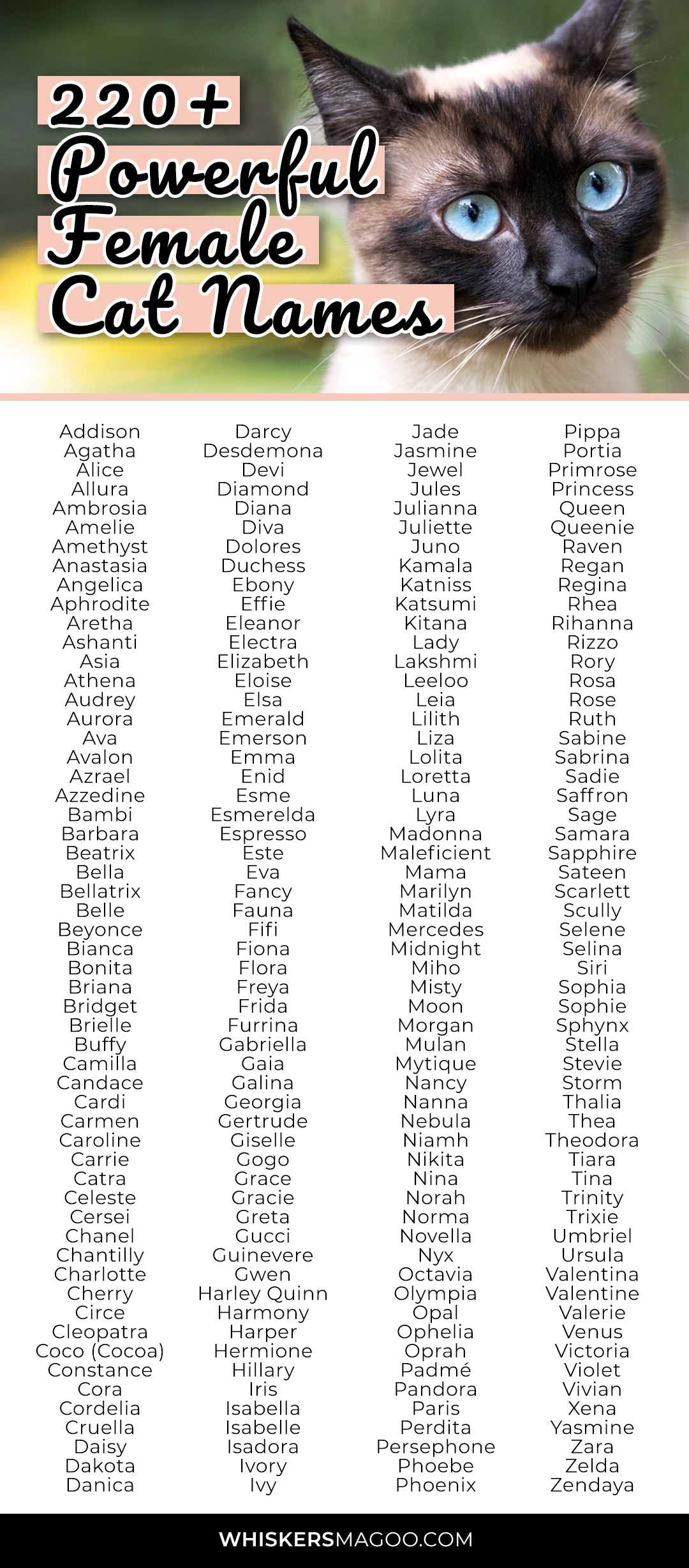 220+ Powerful Female Cat Names for Feisty Felines Whiskers Magoo