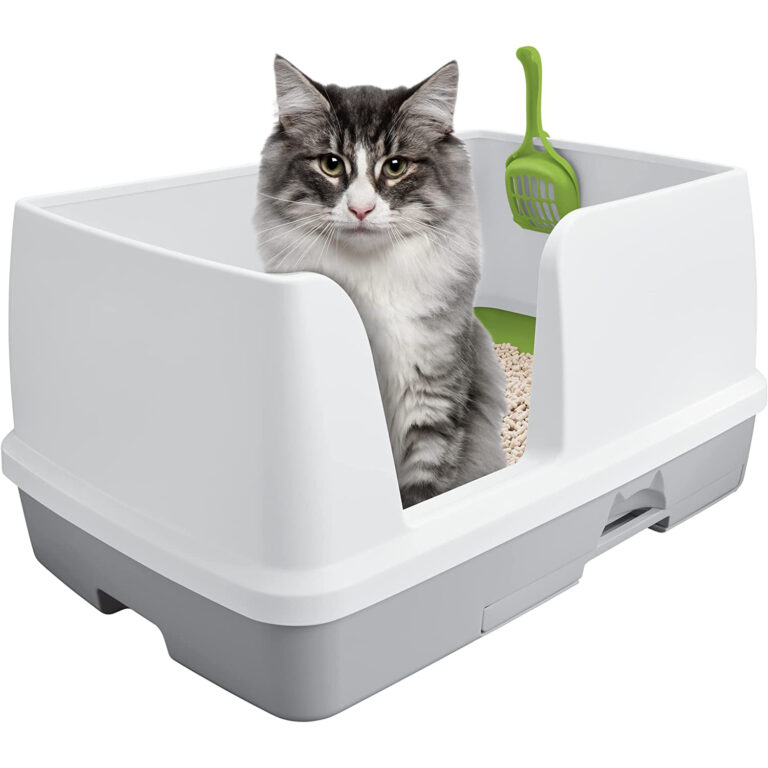 15 Extra Large Litter Box Options With High Sides - Whiskers Magoo