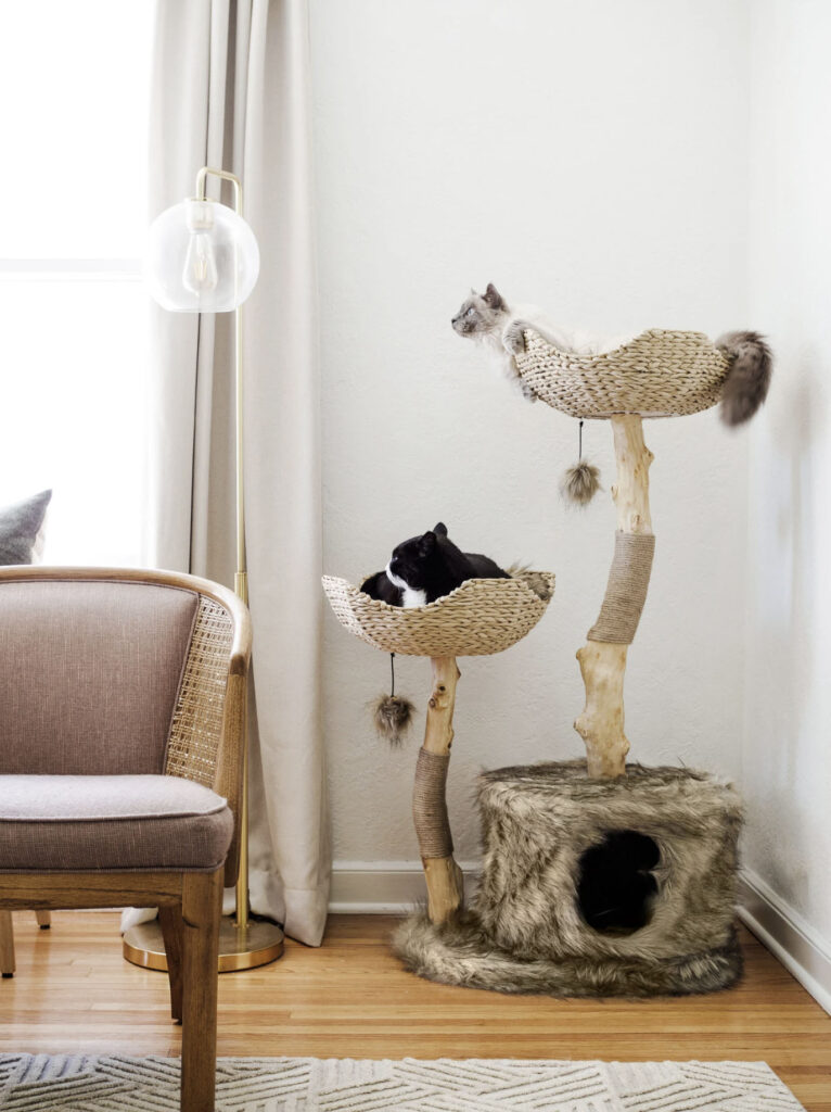 Cat Trees Made From Wood at Albert Cooke blog