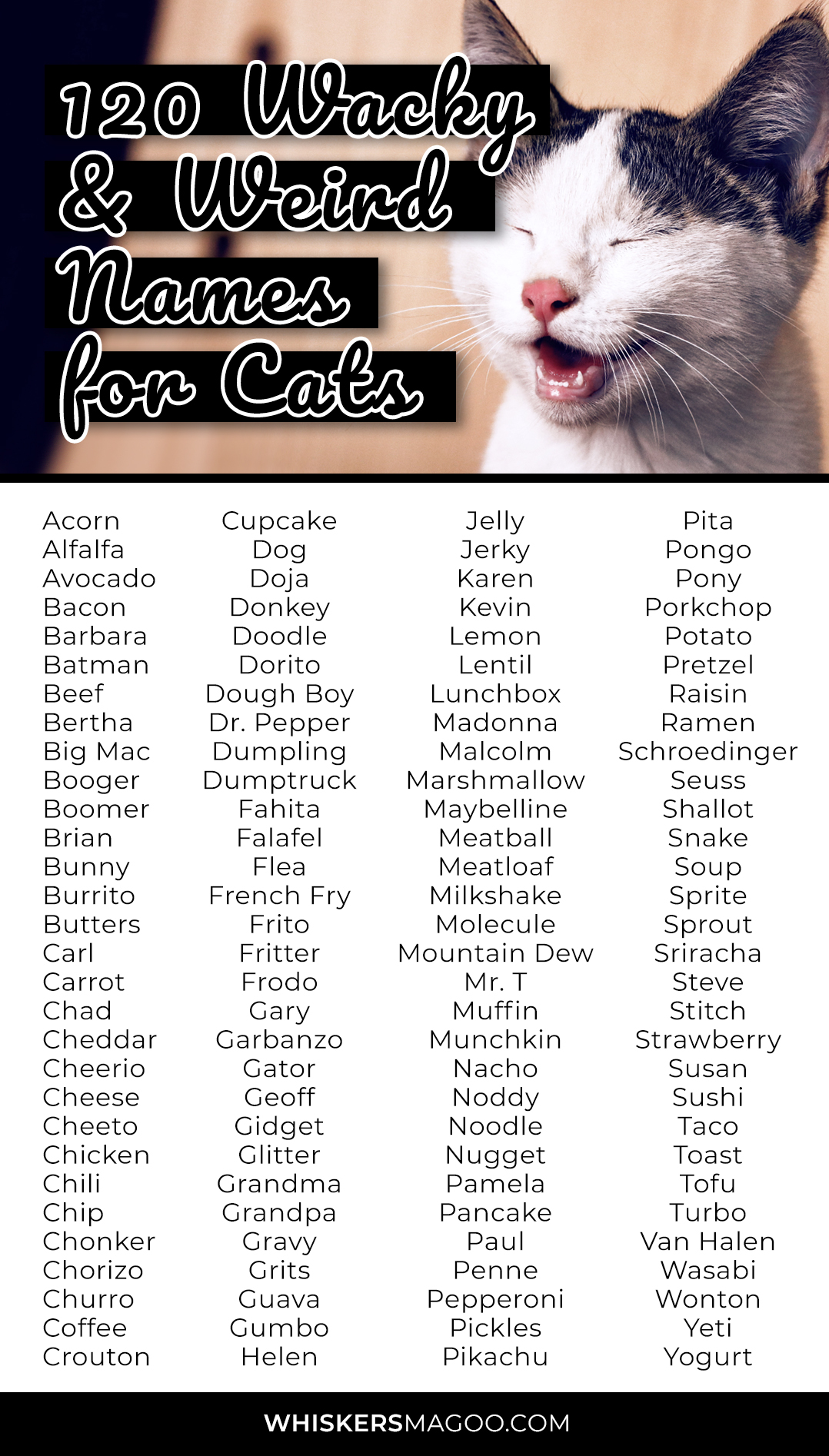 120-wacky-and-weird-names-for-cats-whiskers-magoo