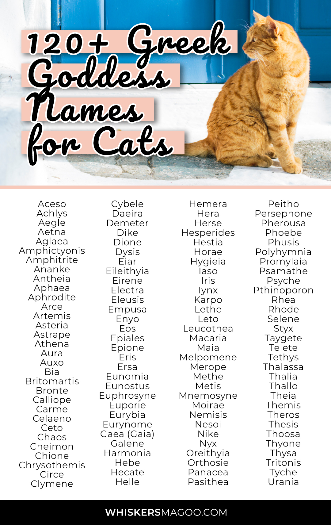 120+ Greek Goddess Names for Cats - Whiskers Magoo