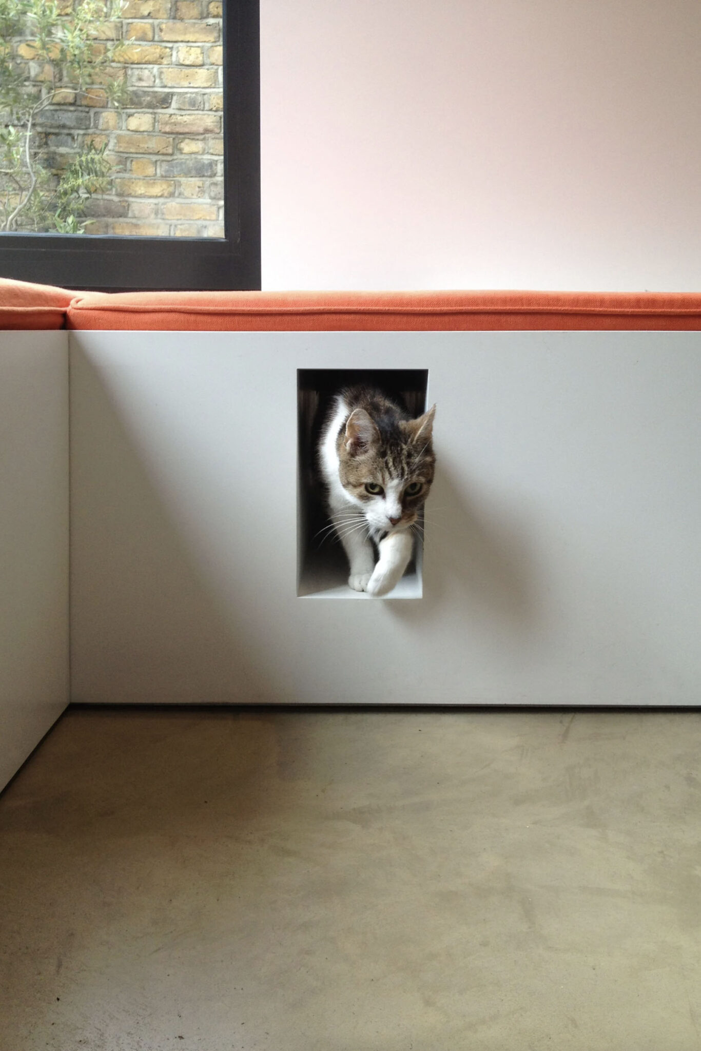 20+ Cute and Creative Interior Cat Door Ideas - Whiskers Magoo