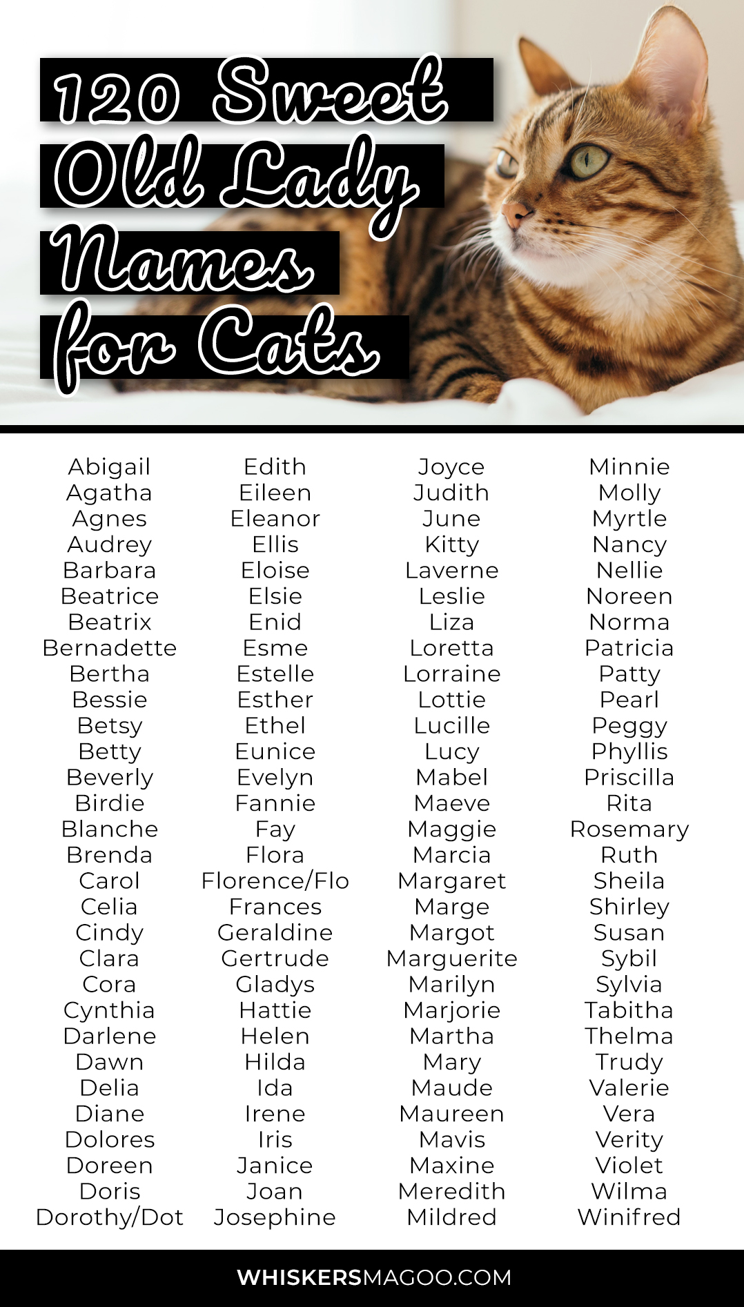 120-sweet-old-lady-names-for-cats-whiskers-magoo