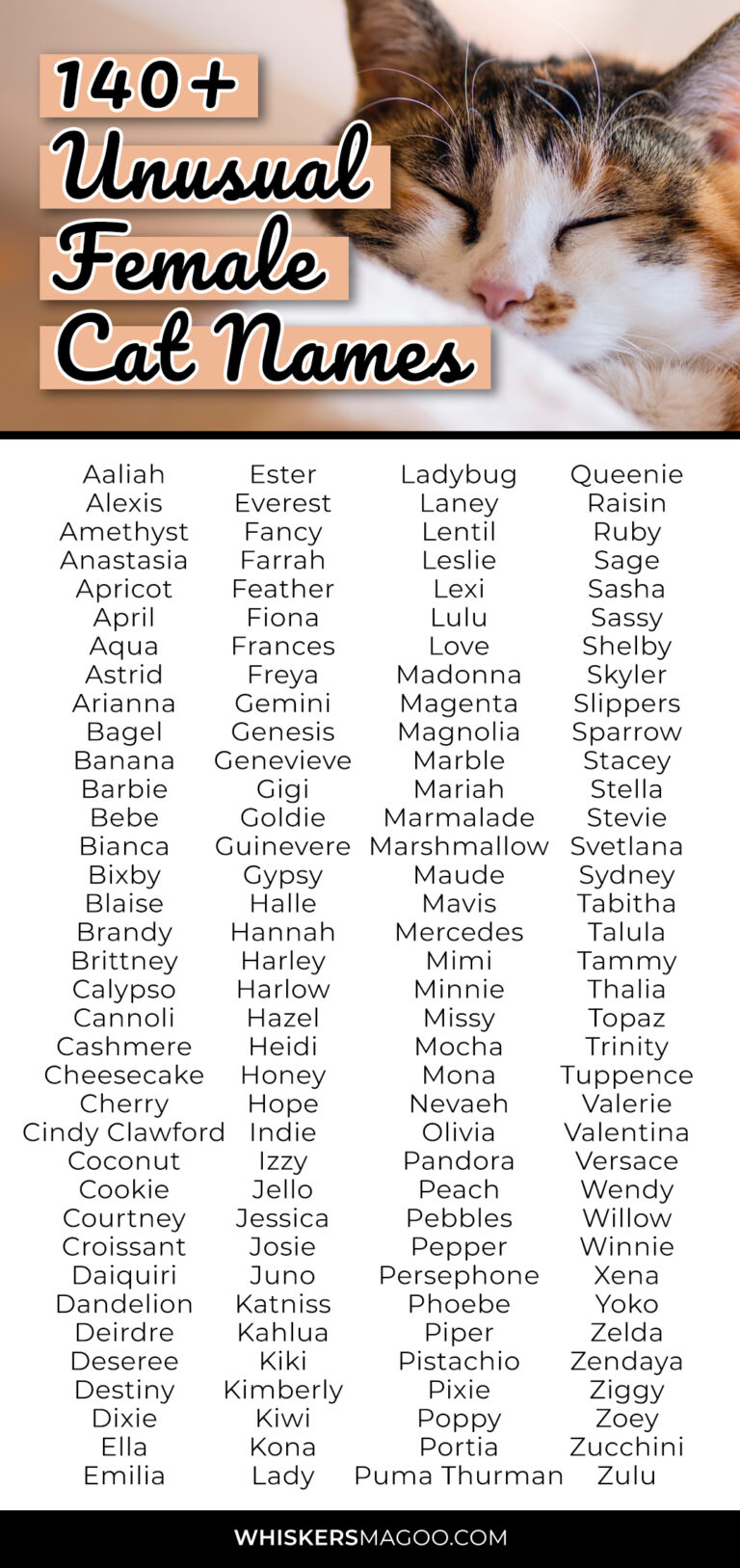 a-poster-with-different-types-of-cats-and-names-for-each-cat-s-name-on-it