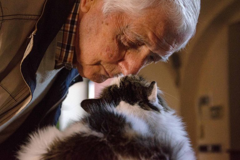 70 Clever Names For Cats With One Eye Whiskers Magoo 70-clever-names-for-cats-with-one-eye-whiskers-magoo