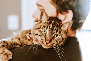 From cool cat dad shirts and mugs to customized cat gifts, and more, check out 15+ gifts for cat dads that are purr-fect for Christmas and Father's Day, right here!