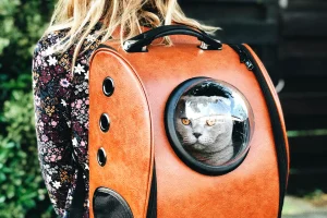 Cat Bubble Backpacks Explored: Choosing the Purr-fect Carrier for Your Feline Friend [Photo by Raoul Droog via Unsplash]